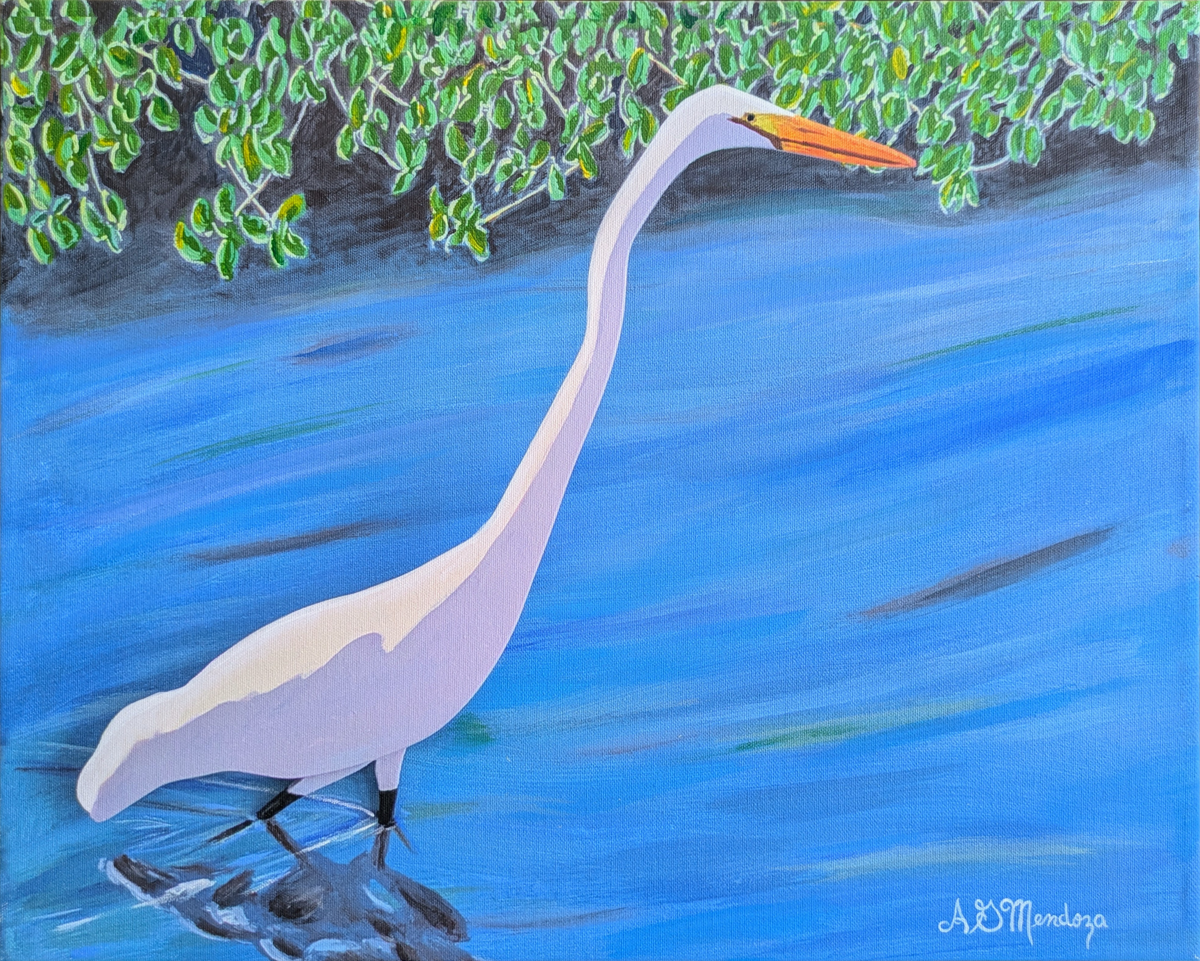 Great egret by the mangroves
