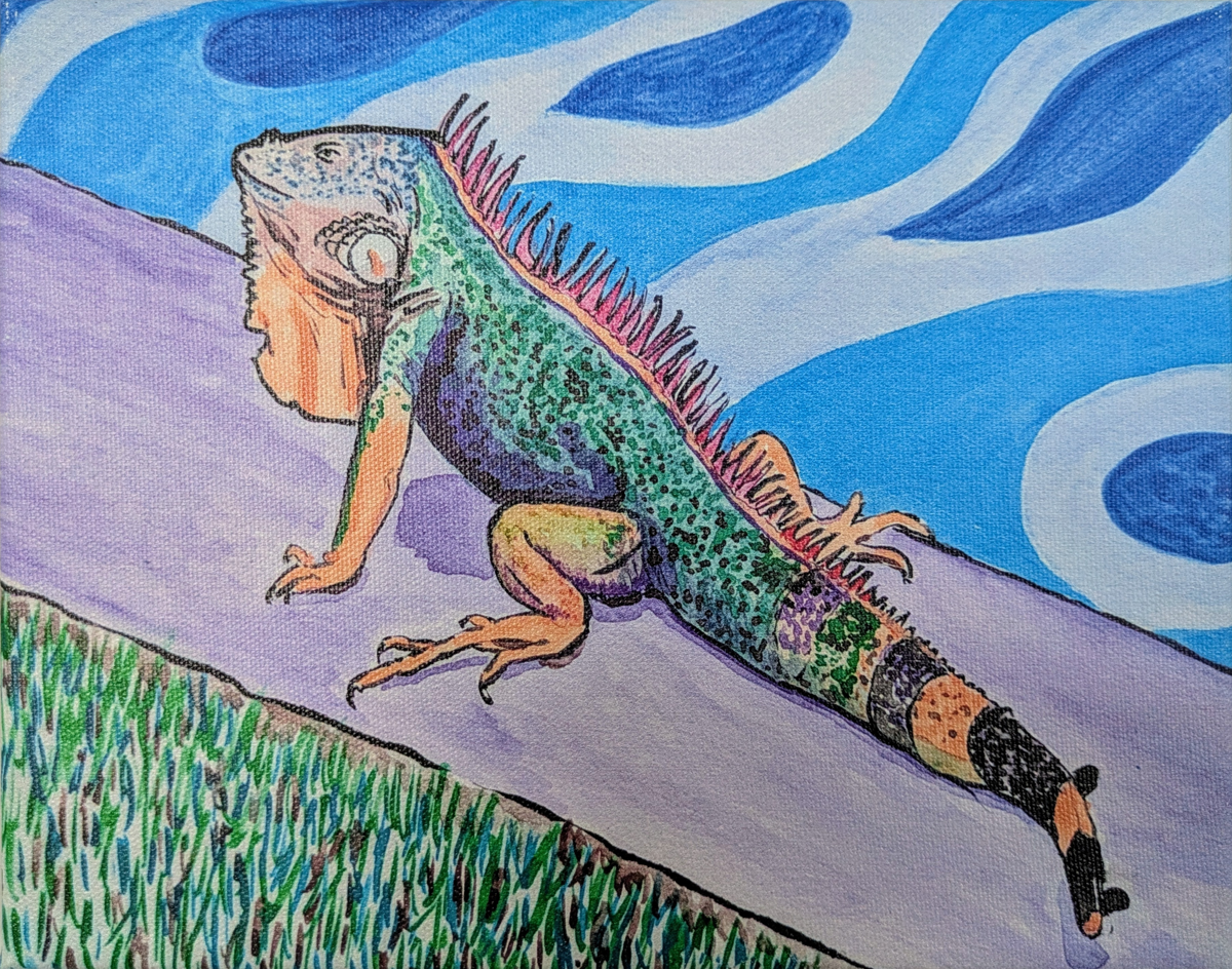 Pelican at Snell isle bridge