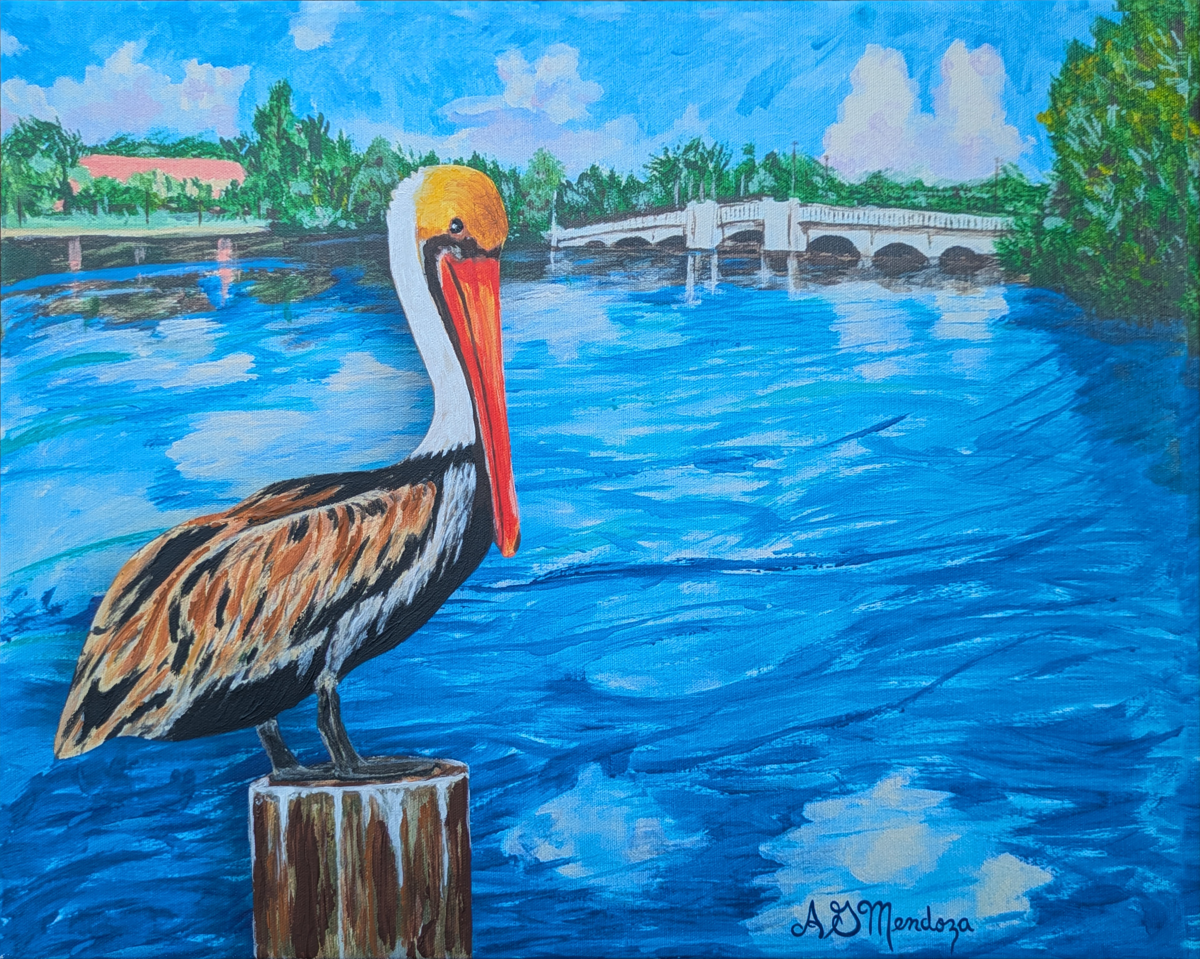 Pelican at Snell isle bridge
