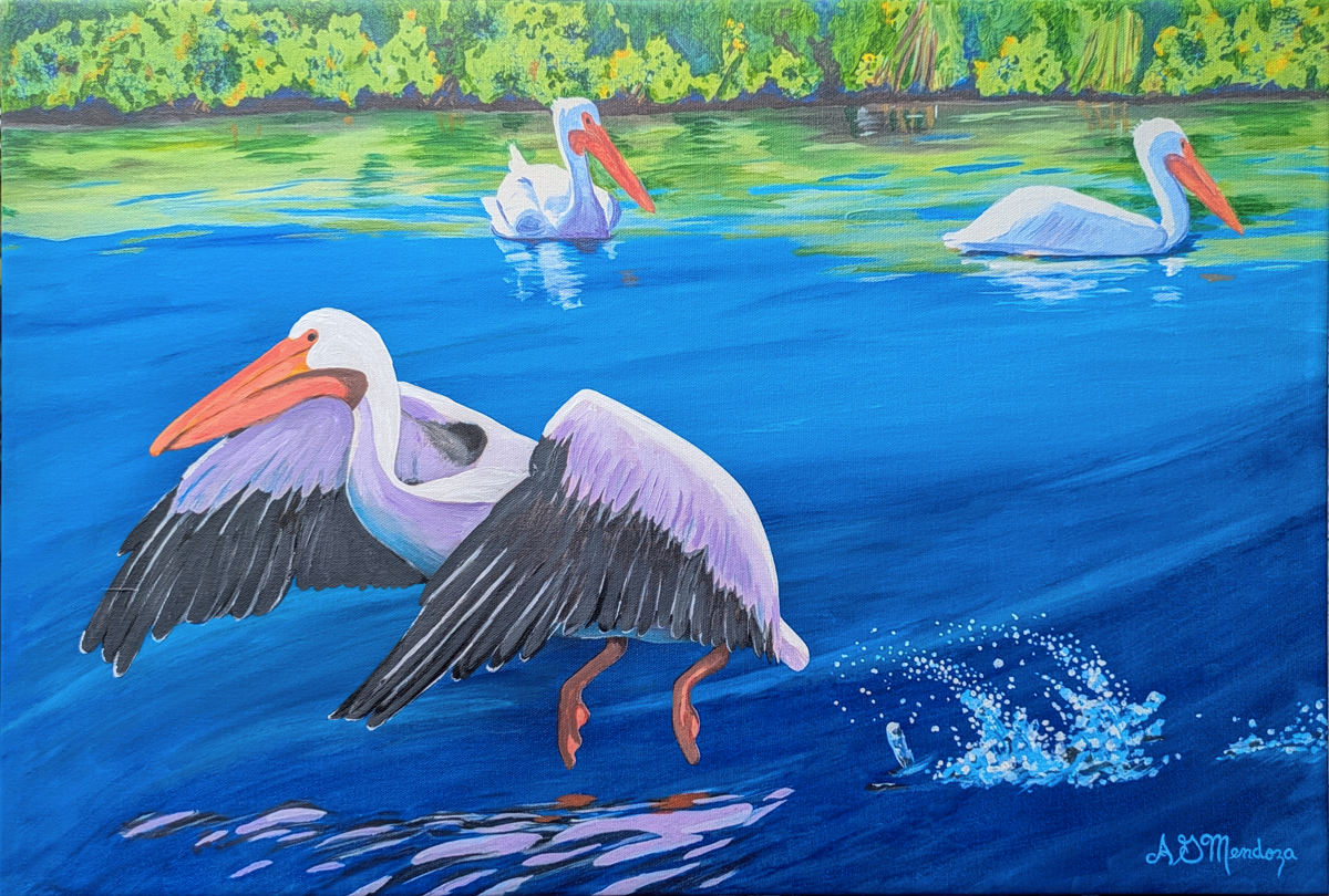 Pelicans splashdown